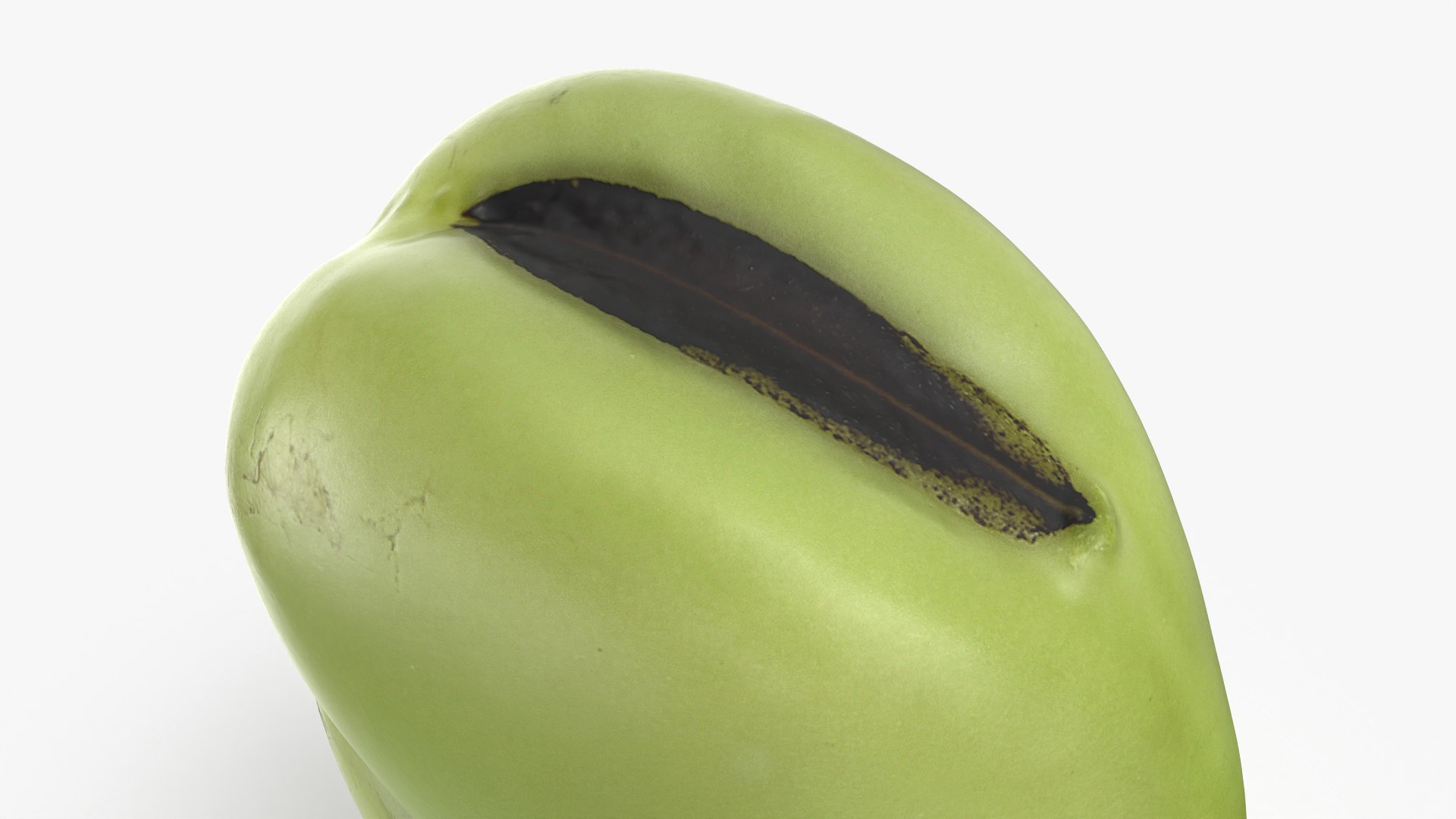 3D model Broad Bean Kernel - 3D Scanned https://p.turbosquid.com/ts-thumb/dz/H6SBf9/w7/broadbeankernel_0008/png/1781957794/1920x1080/fit_q87/ef0ac5c63ab4a893481b3ac4215c9dcd0f568ede/broadbeankernel_0008.jpg