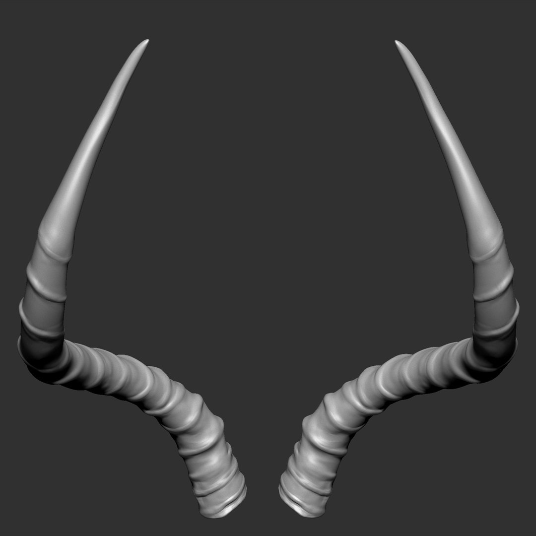 3D Impala Antelope Horns TurboSquid 1445355
