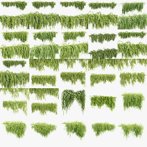 3D Hanging Wall Plants Bundle 200 &ndash; 25 High-Quality 3D Models