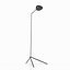 Standing room lamp