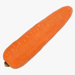 food vegetable carrot 3D