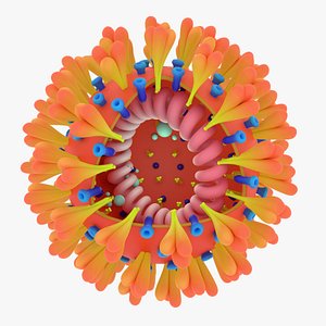 coronavirus ncov 3D