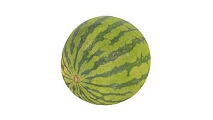 Watermelon 3D Model AR VR PBR 3D model