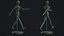 Drawing Mannequin Wooden Poseable Figure