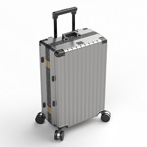 Suitcase 13 3D model