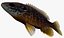 Hybrydowy Sunfish