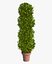 Large Bush Pot
