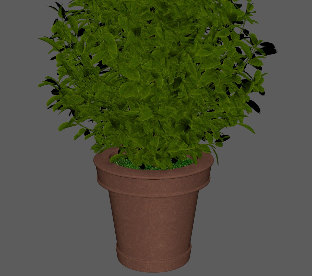 plant pot 3D model https://p.turbosquid.com/ts-thumb/e0/2QXh0t/BclCOnCV/plant7/jpg/1536938797/1920x1080/fit_q87/af93bf1d259d5378011b0174389fc94dad719c3a/plant7.jpg