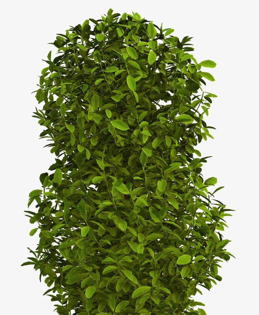 plant pot 3D model https://p.turbosquid.com/ts-thumb/e0/2QXh0t/CYx69i5Q/plant4/jpg/1536938156/1920x1080/fit_q87/073b14dedfdca397d006a65d8b3a8fffe71ff52c/plant4.jpg