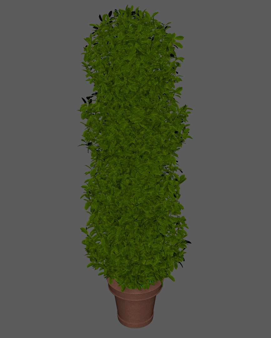 plant pot 3D model https://p.turbosquid.com/ts-thumb/e0/2QXh0t/VOZSXPTx/plant5/jpg/1536938797/1920x1080/fit_q87/41eeb05c770a98fd745ceba56cca4048df49a6d4/plant5.jpg