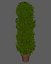 Large Bush Pot