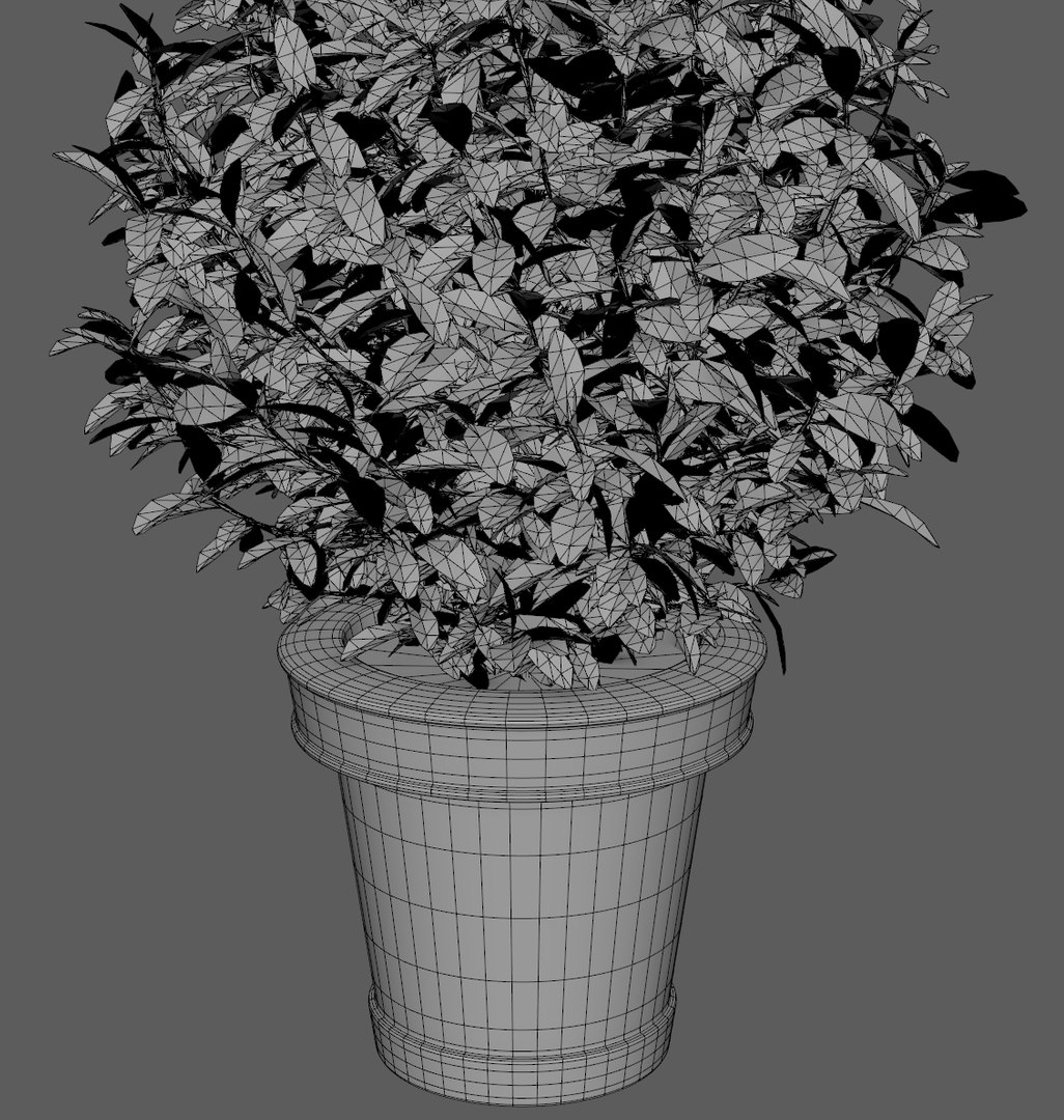 plant pot 3D model https://p.turbosquid.com/ts-thumb/e0/2QXh0t/WcYfXxDL/plant8/jpg/1536938797/1920x1080/fit_q87/d15488b1bbd15611622dc2386f5071ac67140e5e/plant8.jpg