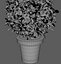 Large Bush Pot