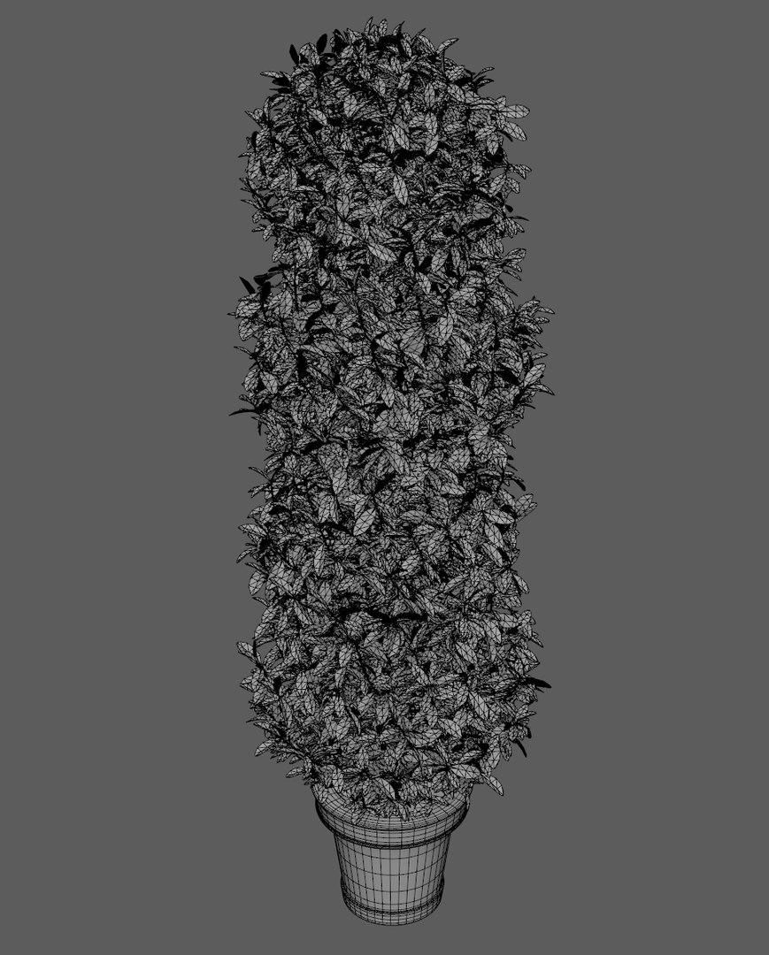 plant pot 3D model https://p.turbosquid.com/ts-thumb/e0/2QXh0t/tFyCKCN8/plant6/jpg/1536938797/1920x1080/fit_q87/b2f2a8ffd47df47fb3645c15a2239acbf2d9291c/plant6.jpg