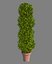 Large Bush Pot