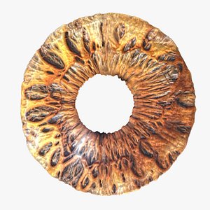 3D human iris man model