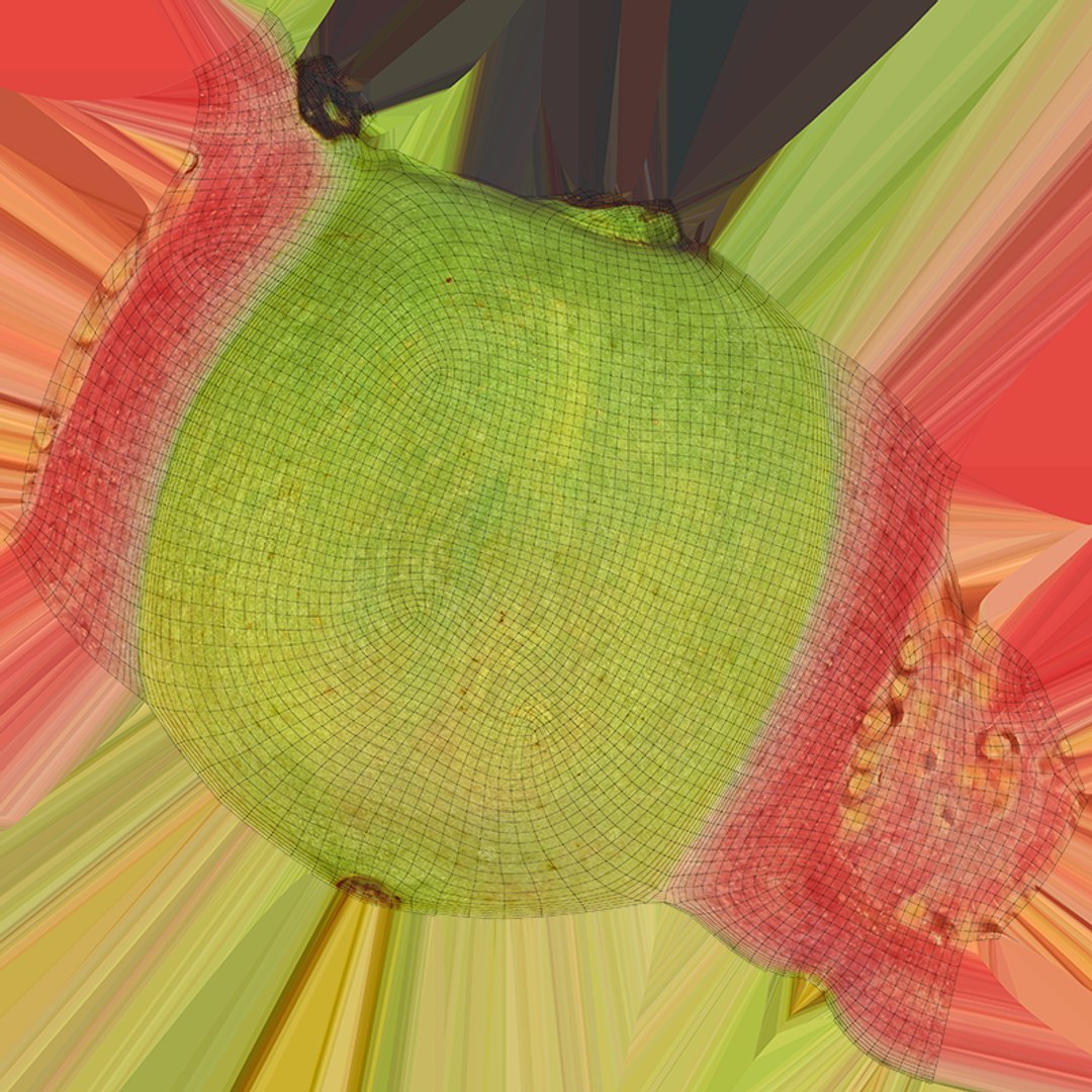 3D Pink Guava Collection 2 https://p.turbosquid.com/ts-thumb/e0/EsYArm/cg/guavapkhalf1_c0004/png/1751639764/1920x1080/fit_q87/3d409f25147ab3e7c9856814eac913c625d563de/guavapkhalf1_c0004.jpg