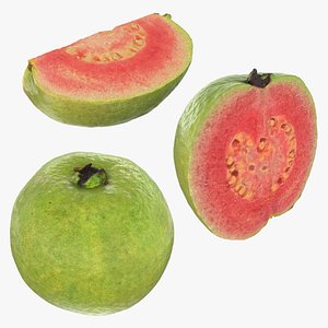 Pink Guava Collection 3D model