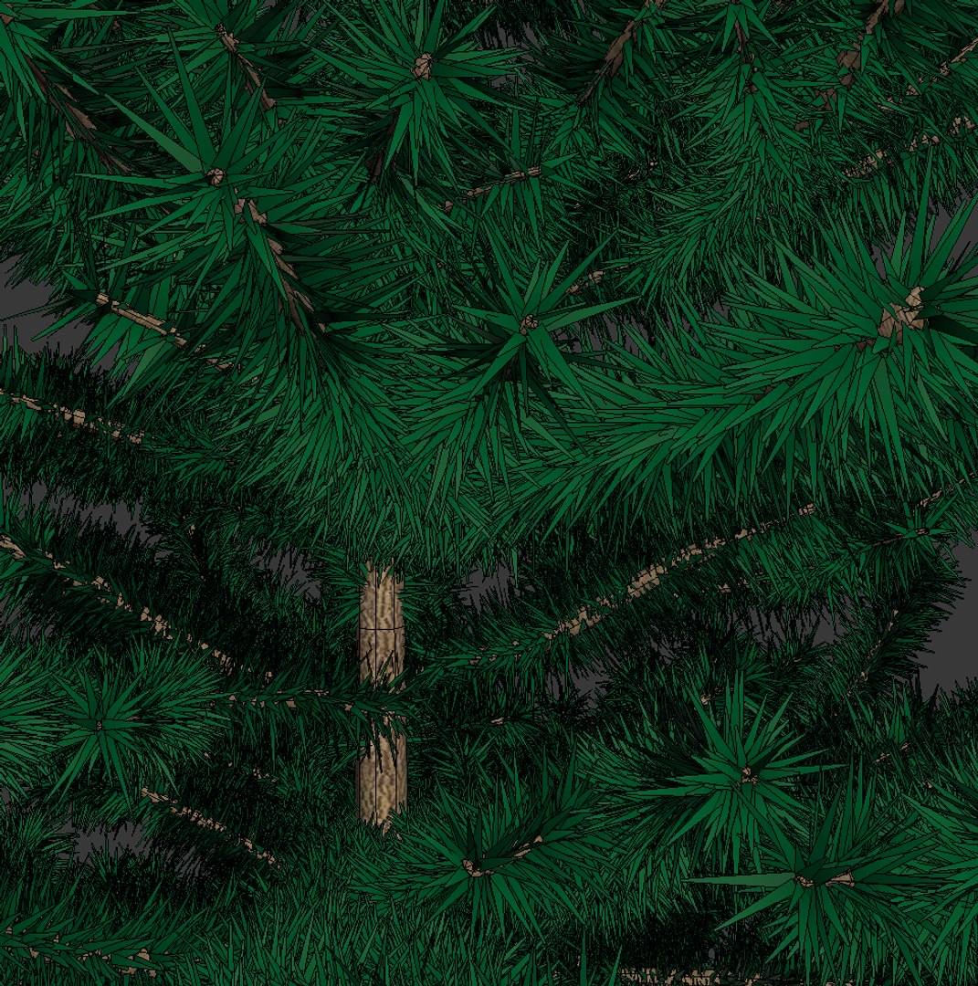 3d fir tree