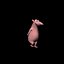 rat