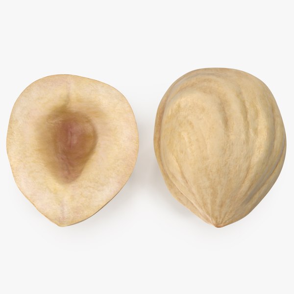 3D Hazelnuts 4 model