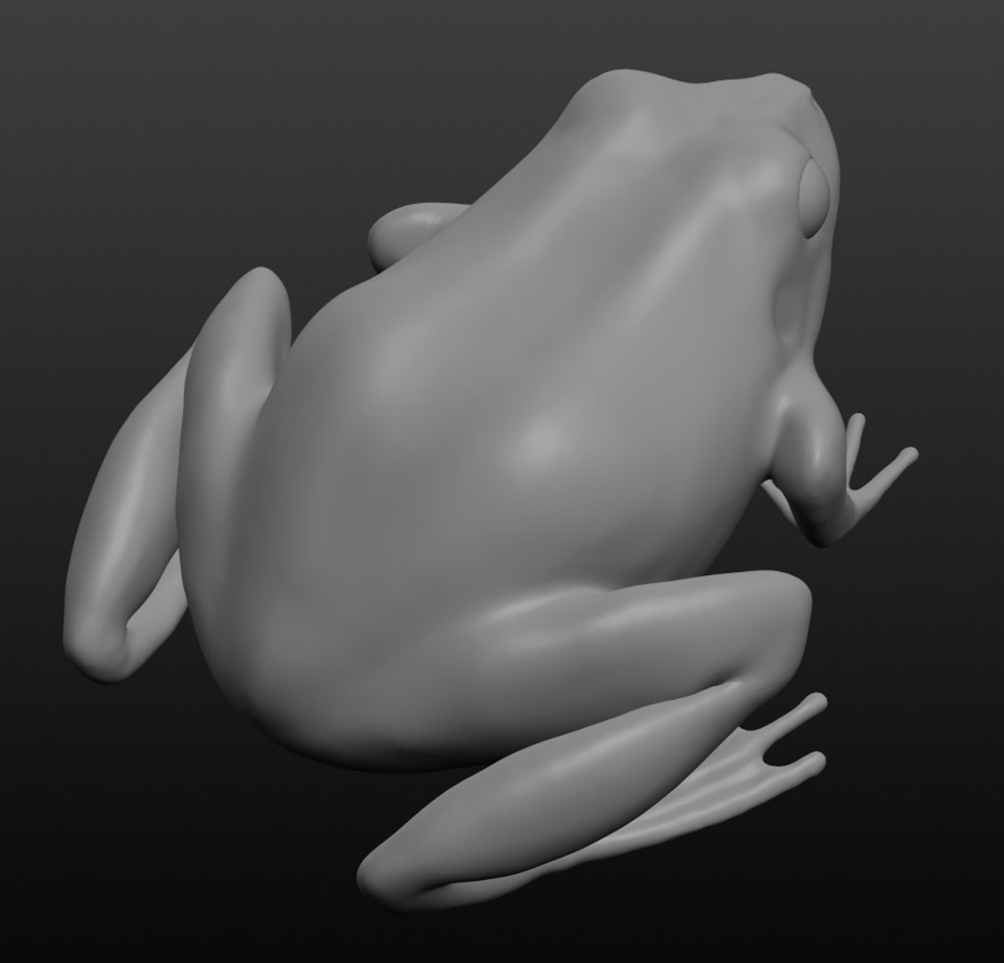 3D Frog Base Mesh Model - TurboSquid 1411983