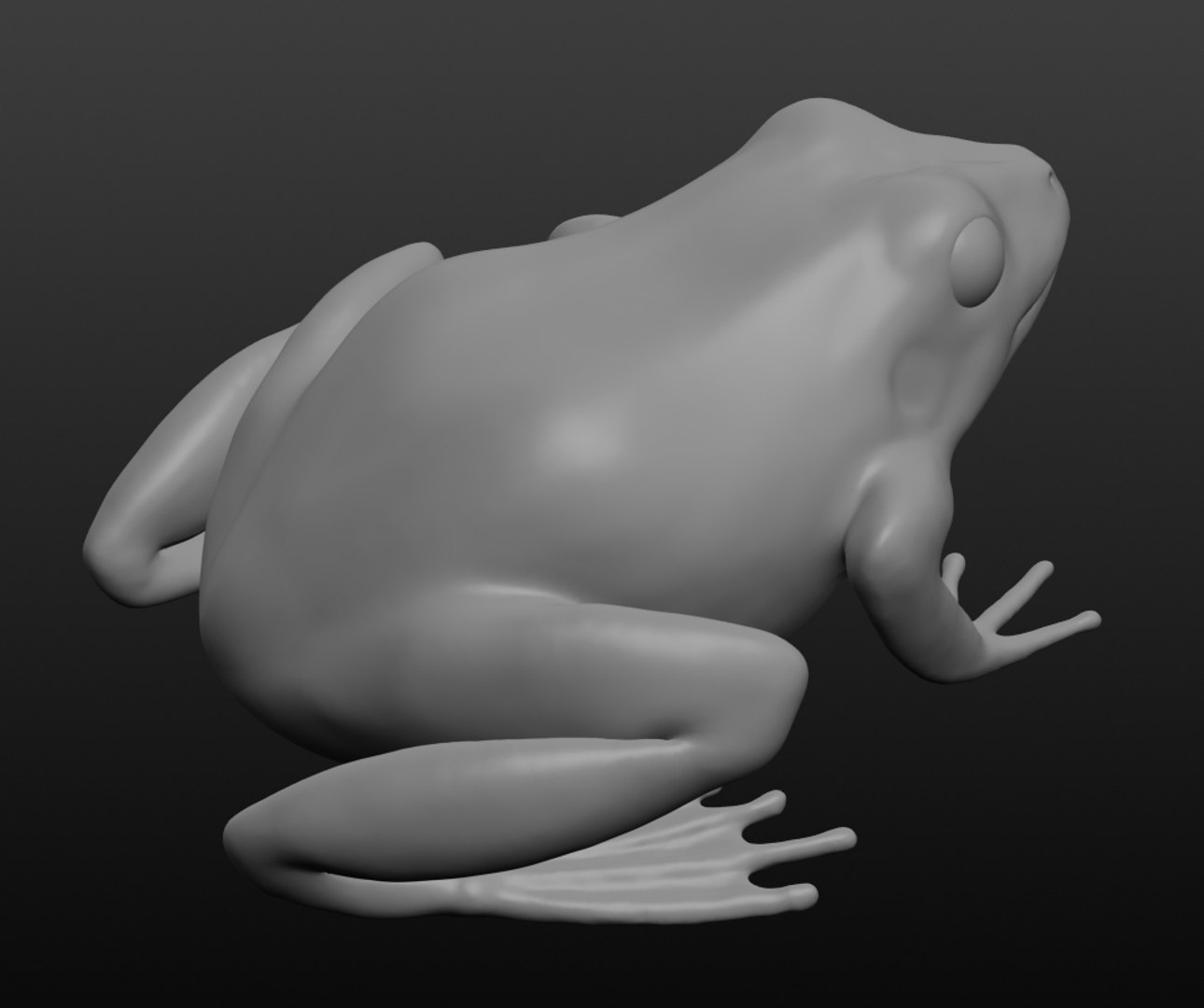 3D Frog Base Mesh Model - TurboSquid 1411983