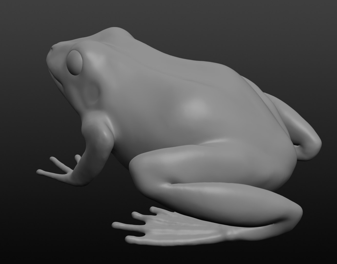 3D Frog Base Mesh Model - TurboSquid 1411983
