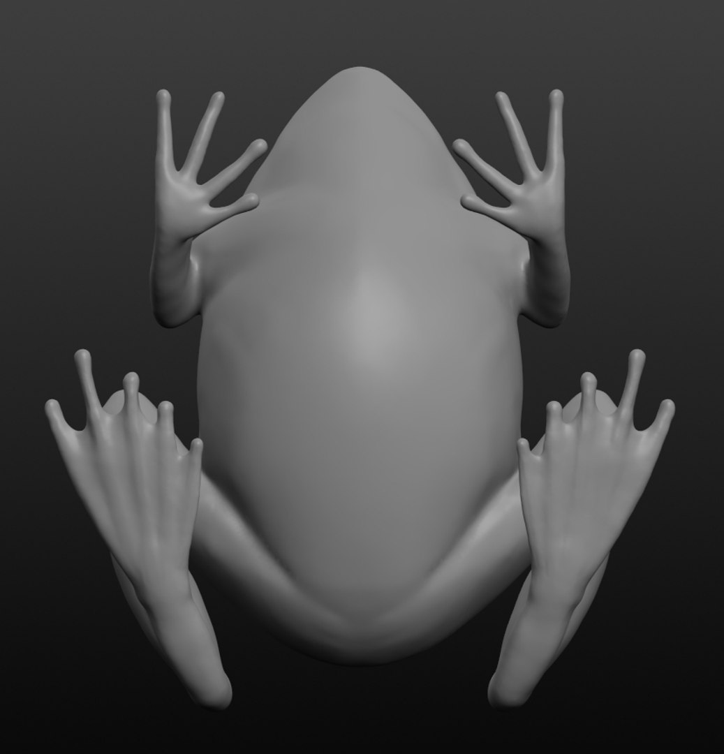 3D Frog Base Mesh Model - TurboSquid 1411983