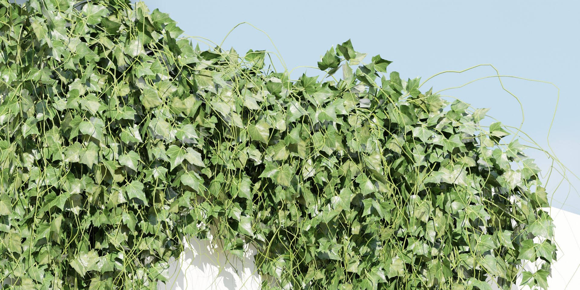 Hanging wall plants vol 91-Blender 3D model https://p.turbosquid.com/ts-thumb/e0/v5lzmR/Hc/6/jpg/1696107197/1920x1080/fit_q87/b0185bf75a646399d59cb10f5fd3662ab686dd61/6.jpg