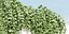 Plantas colgantes de pared vol 91-Blender