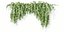 Plantas colgantes de pared vol 91-Blender