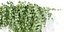 Plantas colgantes de pared vol 91-Blender