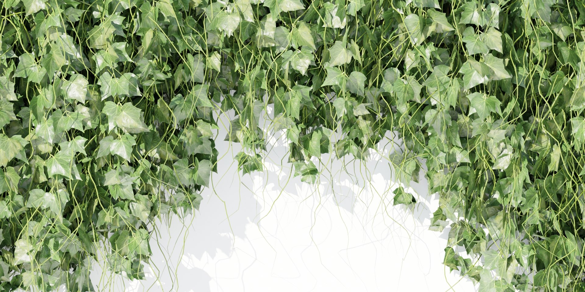 Hanging wall plants vol 91-Blender 3D model https://p.turbosquid.com/ts-thumb/e0/v5lzmR/zW/2/jpg/1696107195/1920x1080/fit_q87/65d69d2ea256979a2c16c2f08c0a1454c895caf7/2.jpg