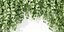 Plantas colgantes de pared vol 91-Blender