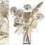 Buquê De Flores Secas Vaso Samambaia Pampas Hogweed 301