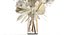 Buquê De Flores Secas Vaso Samambaia Pampas Hogweed 301