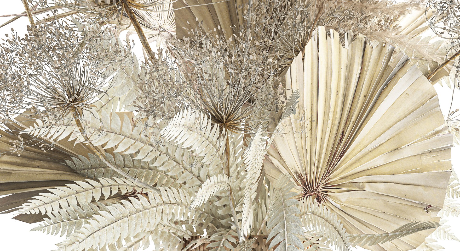 Bouquet Of Dried Flowers Vase Pampas Fern Hogweed 301 3D model https://p.turbosquid.com/ts-thumb/e1/4AgtaZ/jU/1drybouquetwhite15122308/jpg/1702912273/1920x1080/fit_q87/d3add7e9d86c8dd9e5366164105d36925506e7ef/1drybouquetwhite15122308.jpg