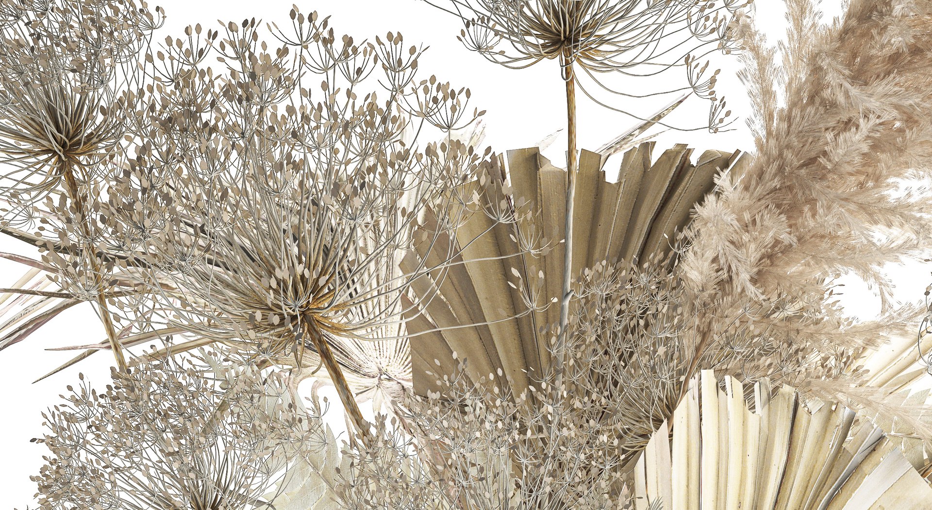 Bouquet Of Dried Flowers Vase Pampas Fern Hogweed 301 3D model https://p.turbosquid.com/ts-thumb/e1/4AgtaZ/ot/1drybouquetwhite15122307/jpg/1702912272/1920x1080/fit_q87/06aa316797e30b5caa2089a2346704537c448ccc/1drybouquetwhite15122307.jpg