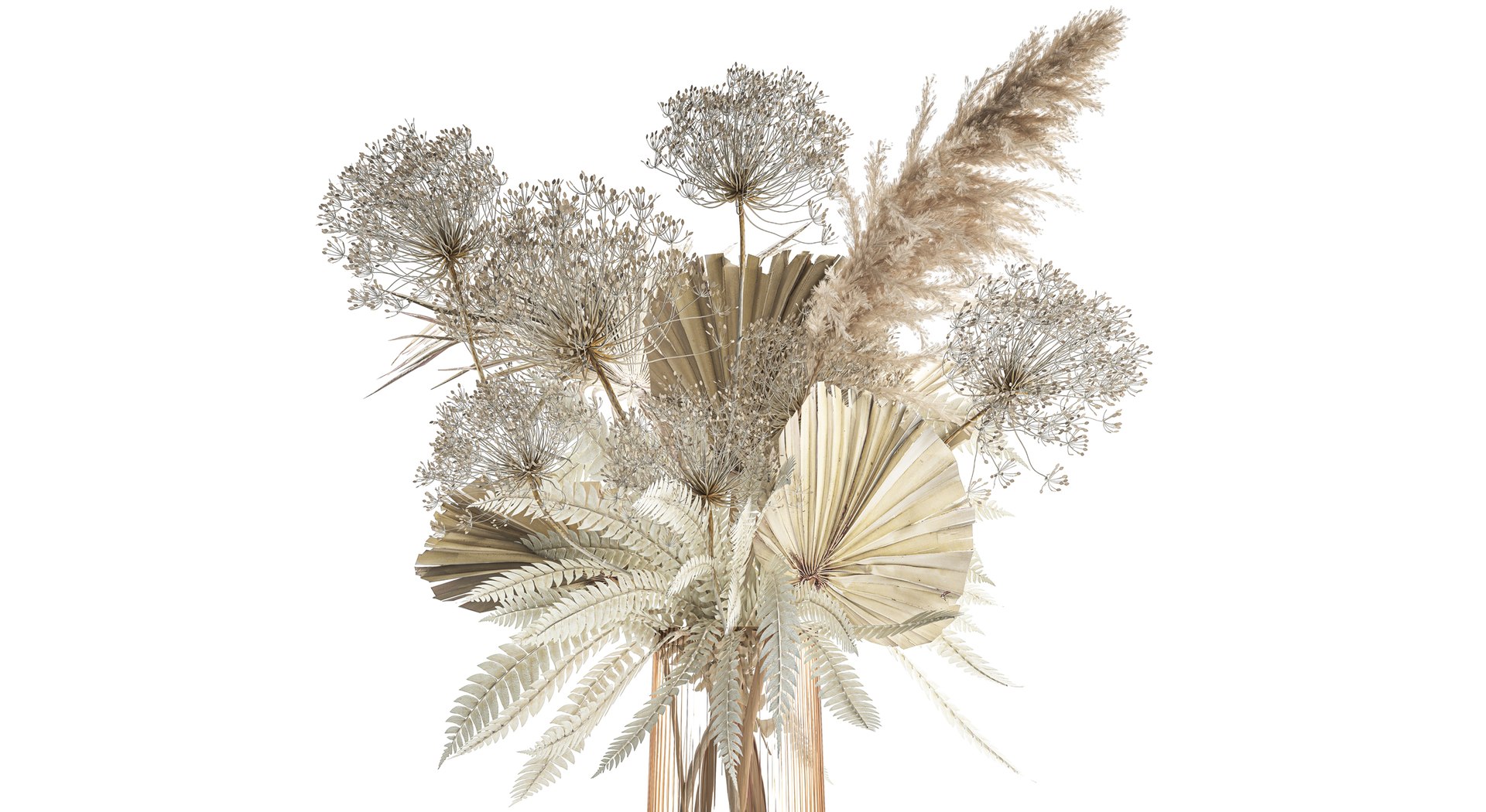 Bouquet Of Dried Flowers Vase Pampas Fern Hogweed 301 3D model https://p.turbosquid.com/ts-thumb/e1/4AgtaZ/tZ/1drybouquetwhite15122304/jpg/1702912268/1920x1080/fit_q87/23314c0a4e1fc60b6dafe40c097570771c18d2a2/1drybouquetwhite15122304.jpg