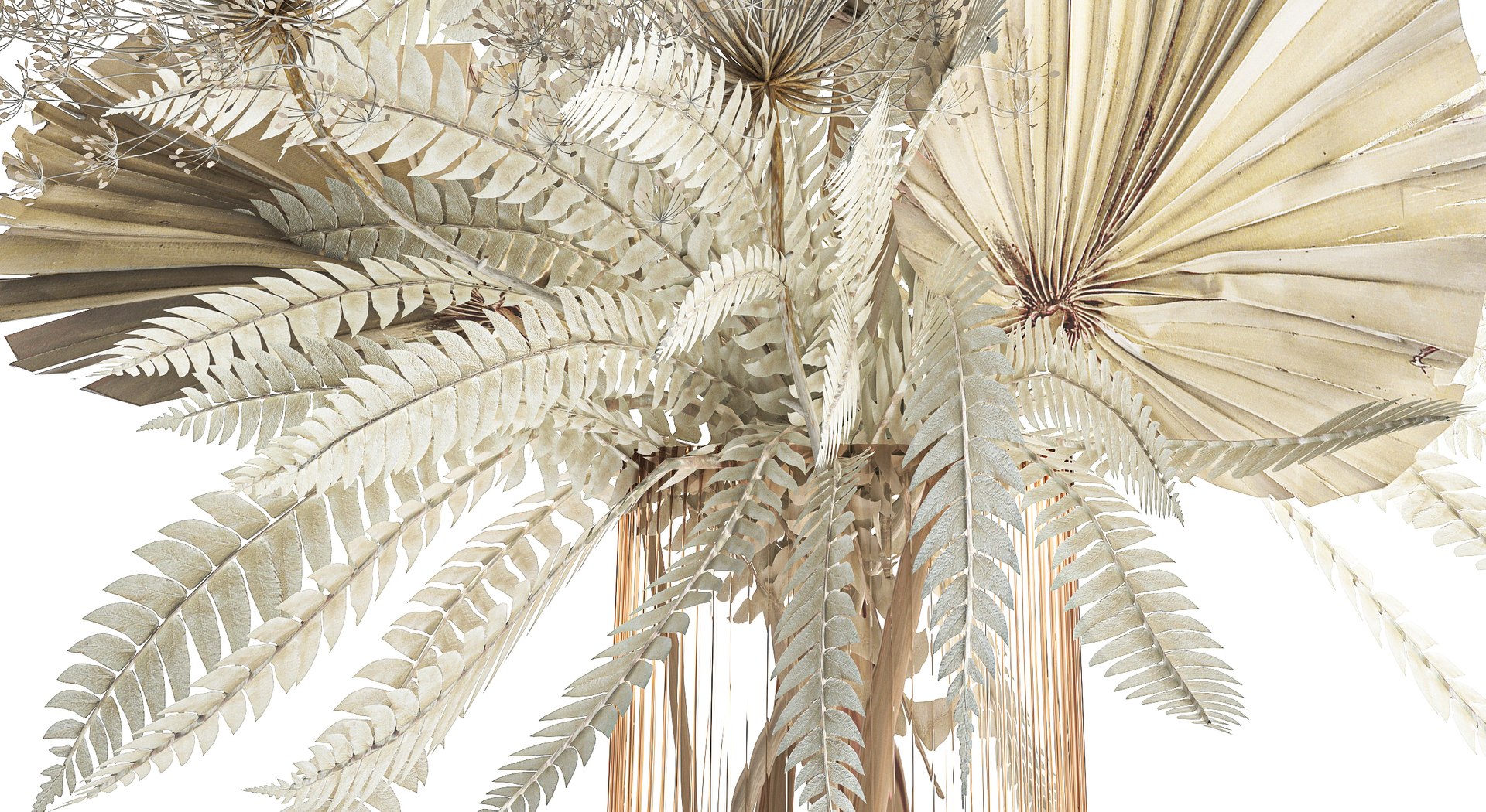 Bouquet Of Dried Flowers Vase Pampas Fern Hogweed 301 3D model https://p.turbosquid.com/ts-thumb/e1/4AgtaZ/ys/1drybouquetwhite15122306/jpg/1702912270/1920x1080/fit_q87/60bde20faf2480186617cbd82ffc60e18e084206/1drybouquetwhite15122306.jpg