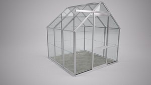 Domestic Garden Greenhouse
