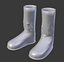 Bottes en cuir