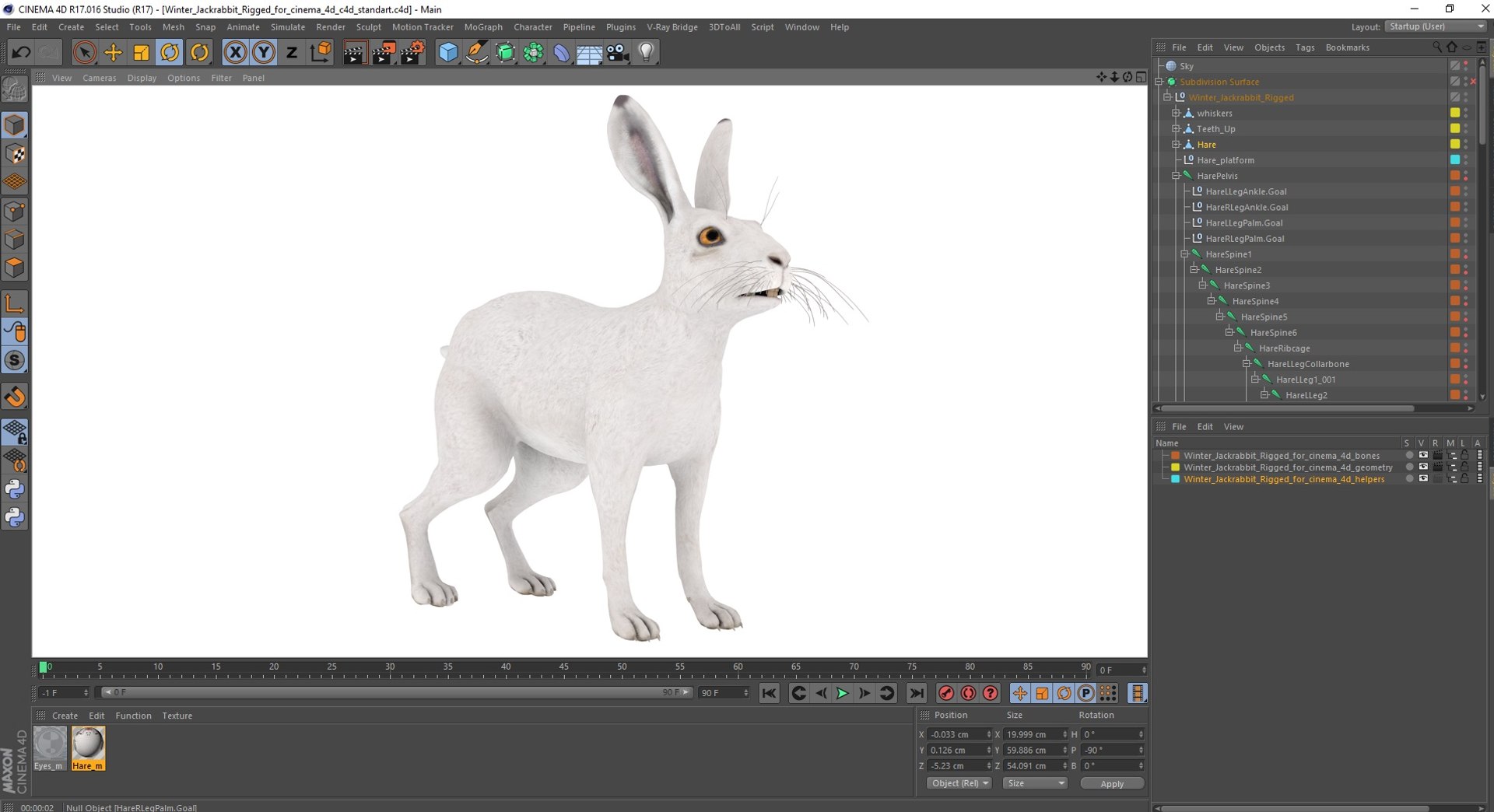 Winter Jackrabbit Rigged For Cinema 4D 3D - TurboSquid 2186017