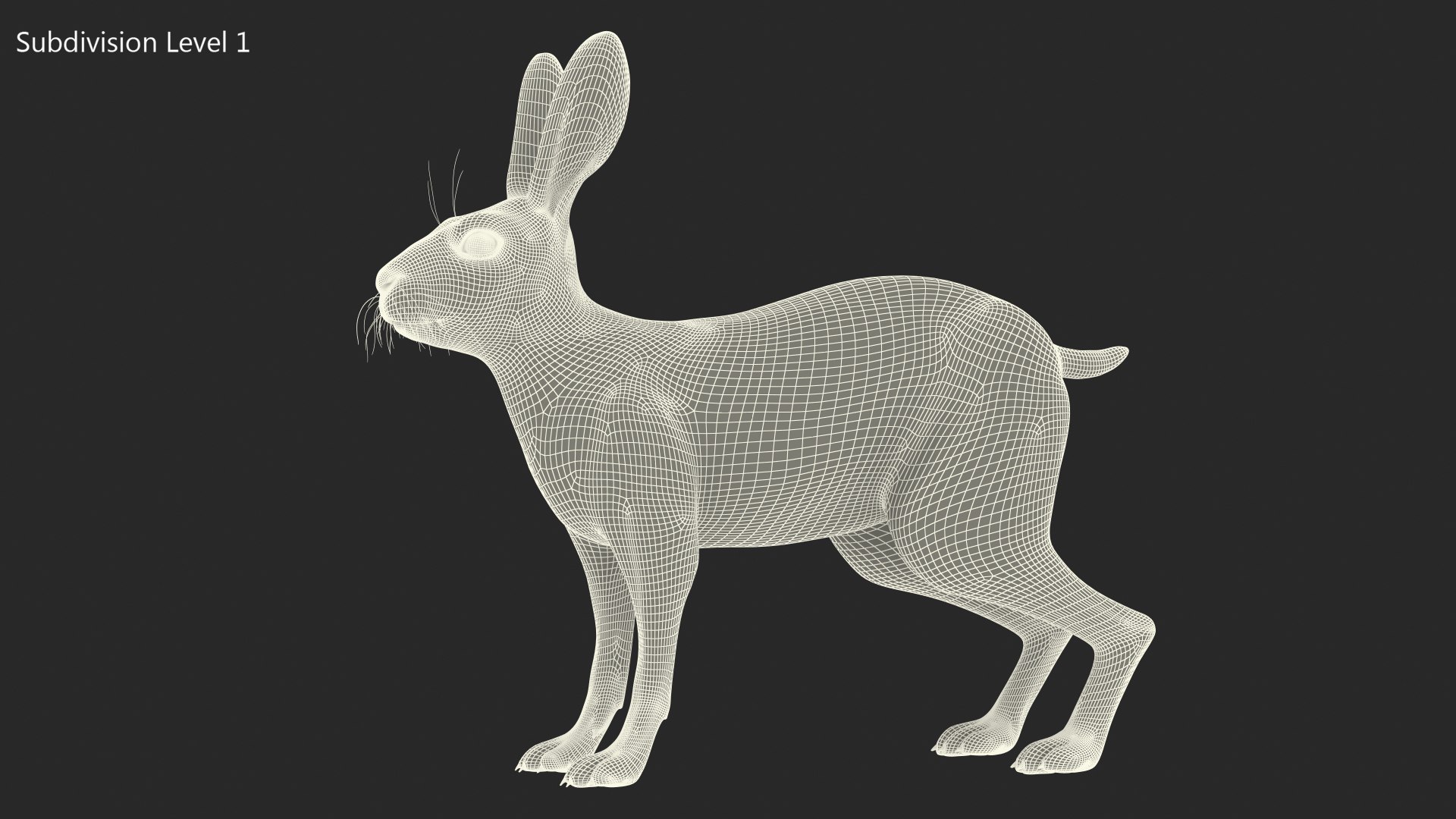Winter Jackrabbit Rigged For Cinema 4D 3D - TurboSquid 2186017