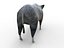 Boar Rigged And Animated low poly
