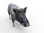 Boar Rigged And Animated low poly