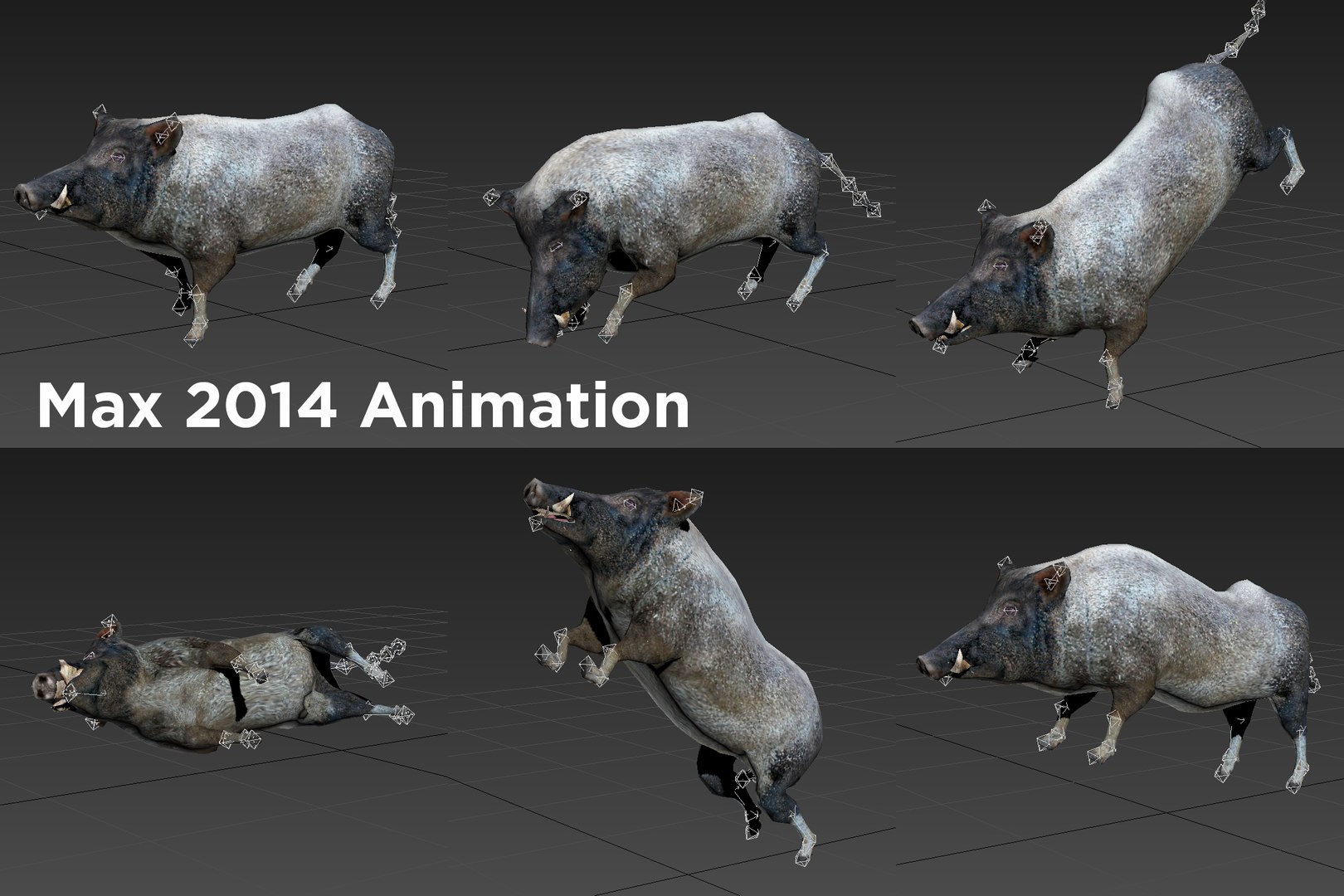 wild boar rigged animation model https://p.turbosquid.com/ts-thumb/e1/Fz5wSF/IVZV2C1I/max/jpg/1518511541/1920x1080/fit_q87/3643db07163d14df462b0f6ee25aafc2ef81e192/max.jpg