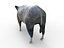 Boar Rigged And Animated low poly