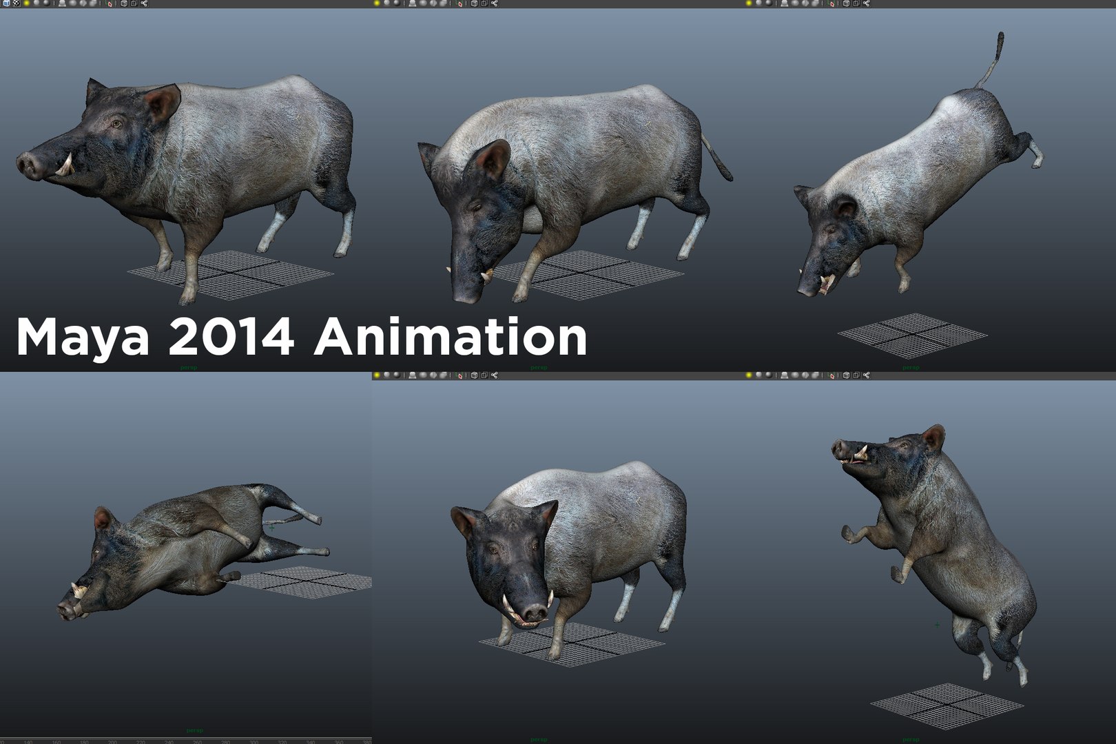 wild boar rigged animation model https://p.turbosquid.com/ts-thumb/e1/Fz5wSF/zFtR6Iop/maya/jpg/1518511542/1920x1080/fit_q87/37d24213793277948effdad68d6e6280e40343c1/maya.jpg